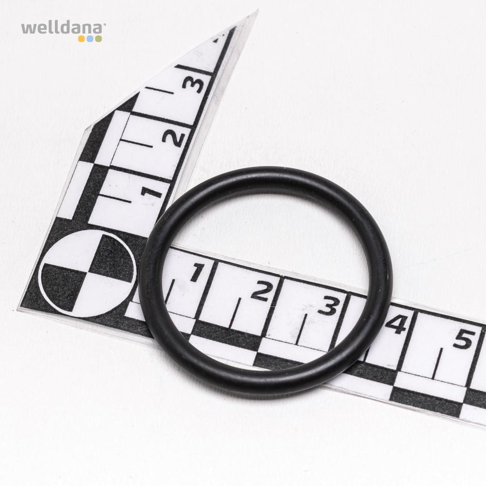 O-ring f. Filterhus  DA-GEN - Billede 2