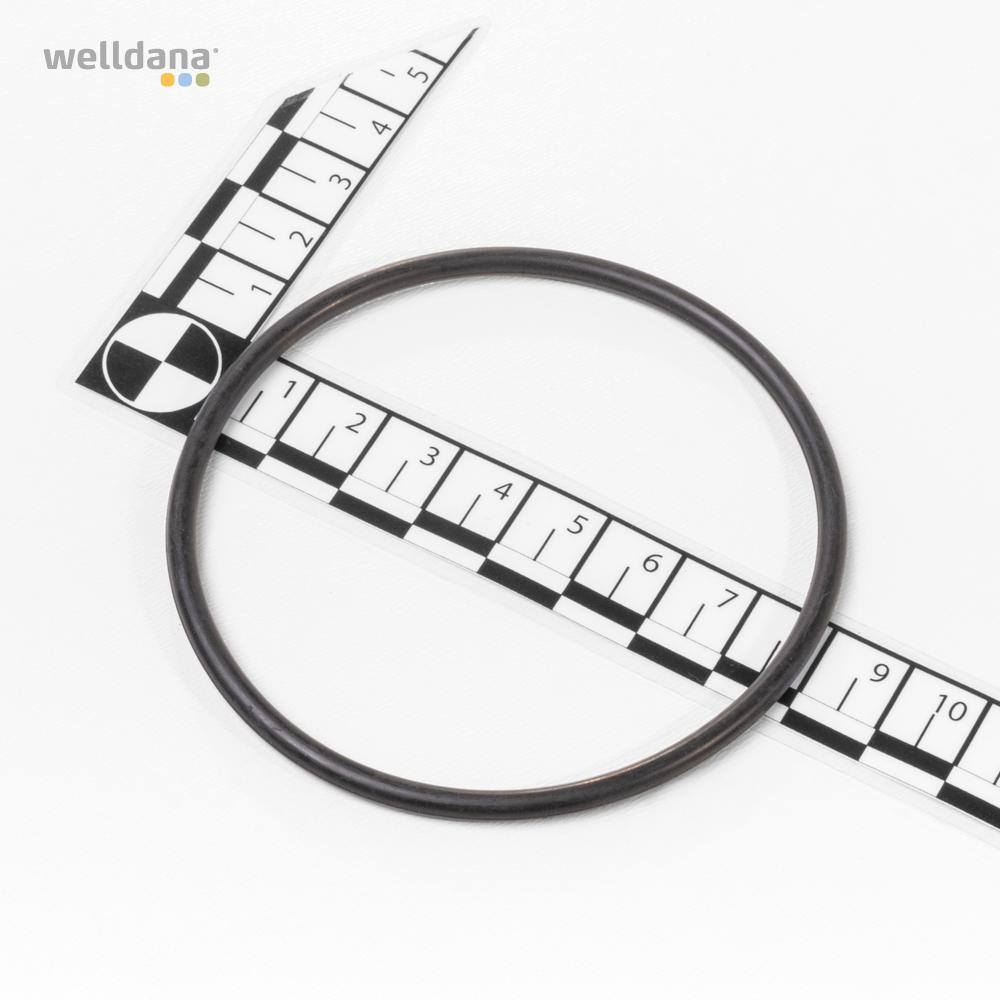 O-Ring til Difusor f. InverPro pumpe - Billede 2