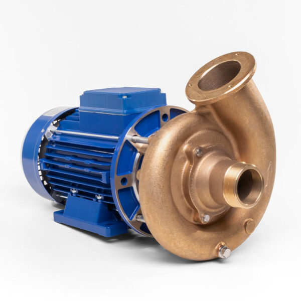 Pumpe 2,6 kw inck. vådende i bronze